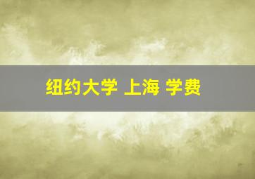 纽约大学 上海 学费